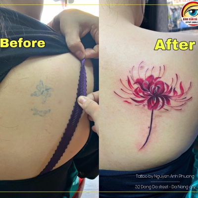 cover Hoa bỉ ngạn thợ bên bình thực hiện nhé
