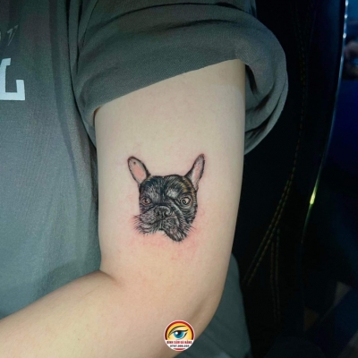 hình xăm thú cưng cho chị khách