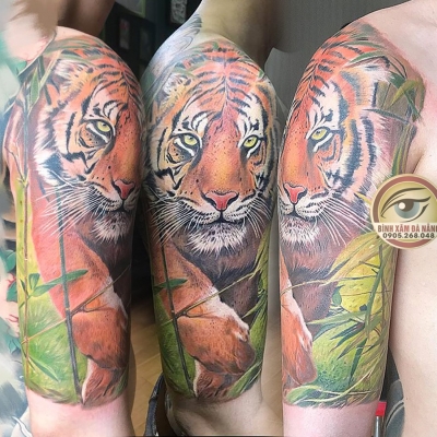Hổ