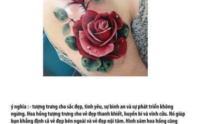 ý nghĩa hình HOA HỒNG