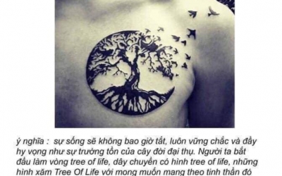 Ý nghĩa hình xăm Cây Đời