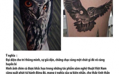 Ý nghĩa hình xăm Chim Cú Mèo
