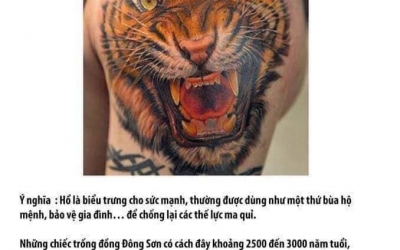 Ý nghĩa hình xăm Hổ ( Cọp)
