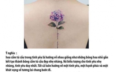 Ý nghĩa hình xăm hoa Cẩm Tú Cầu