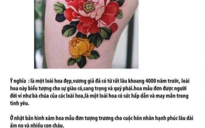 Ý nghĩa hình xăm hoa mẫu đơn