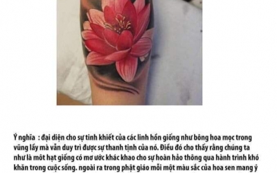 Ý nghĩa hình xăm Hoa Sen