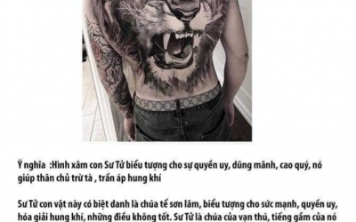 Ý nghĩa hình xăm Lion ( Sư tử )