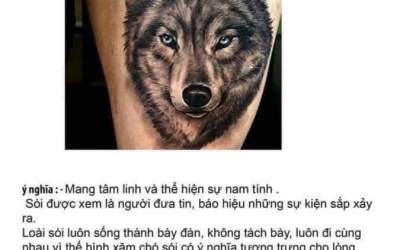Ý nghĩa hình xăm Sói
